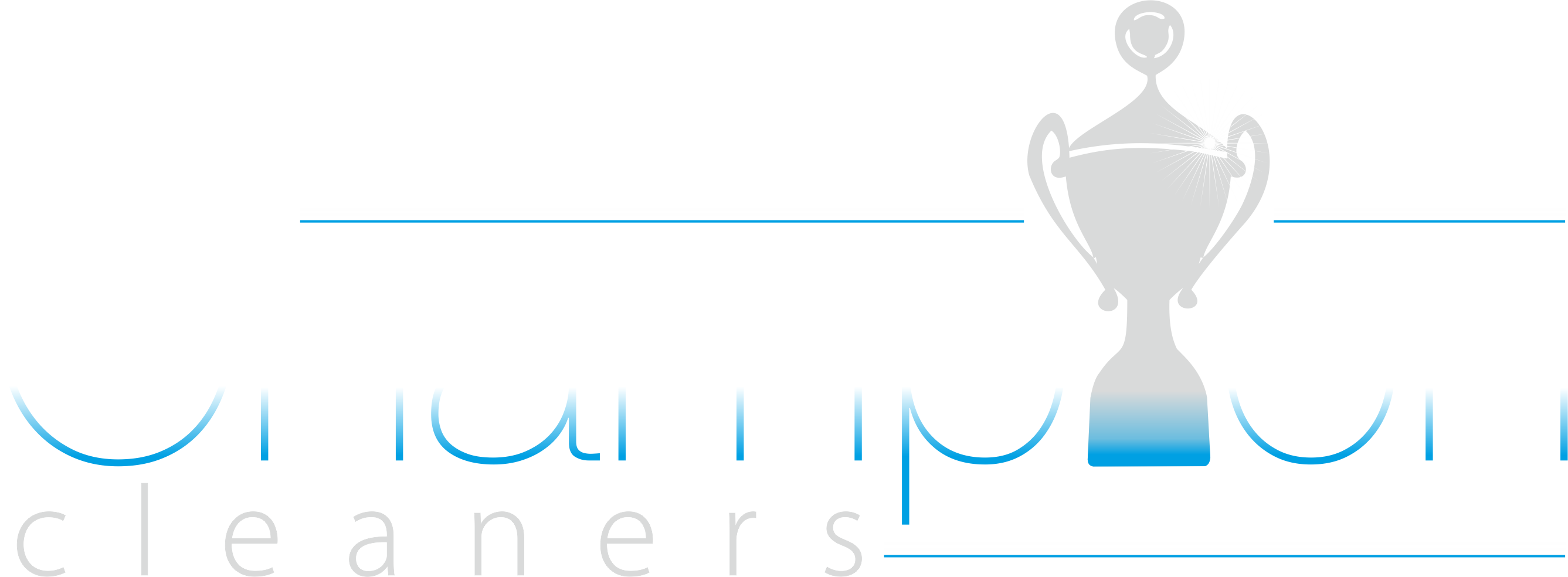 Champion Cleaners commercial cleaning specialists